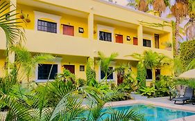 Gallo Azul Hotel, En El Corazon De Todos Santos